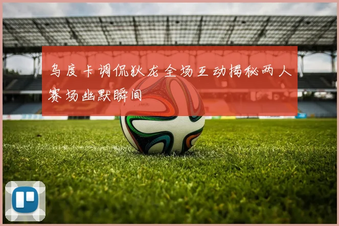 乌度卡调侃狄龙全场互动揭秘两人赛场幽默瞬间