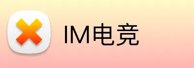 IM电竞 Logo